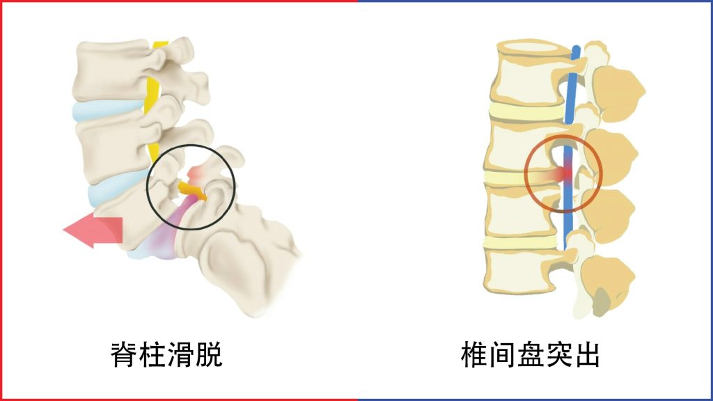 20241016 pd web chinese